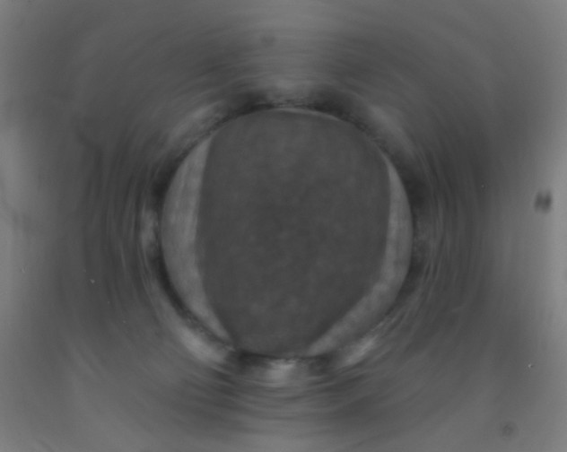 X0000092030130200709271616