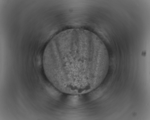 X0000092030131200709271616