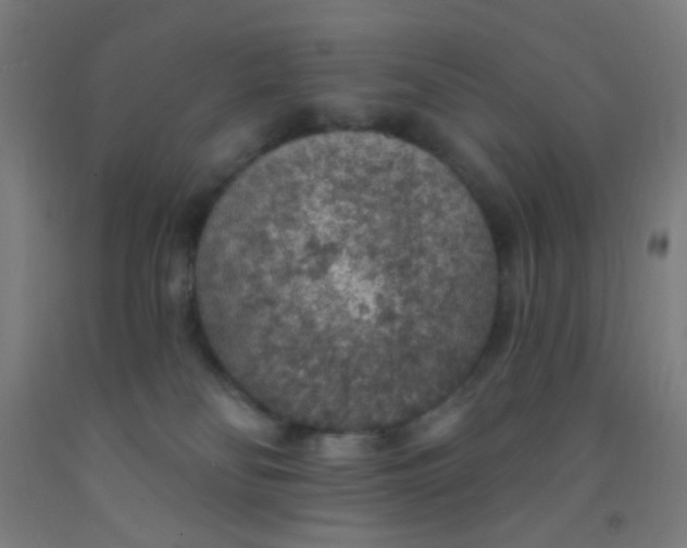 X0000092030134200709271616