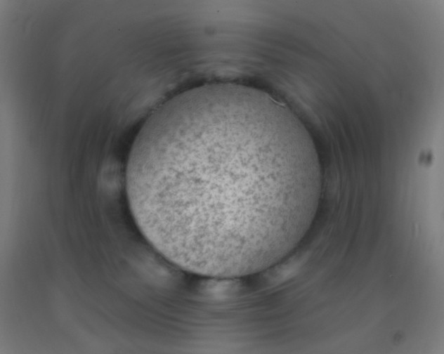 X0000092030135200709271616