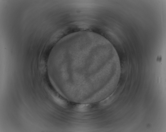 X0000092030136200709271616