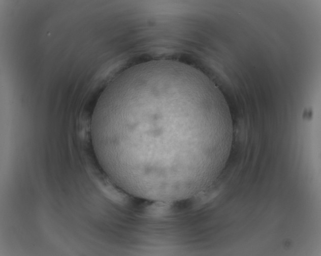 X0000092030138200709271616