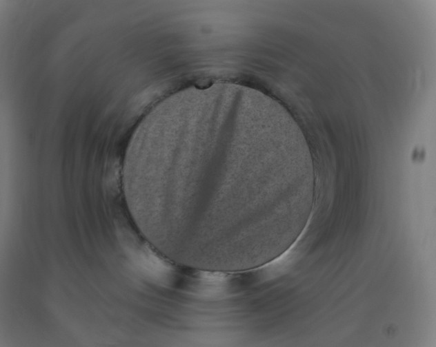 X0000092030144200709271616