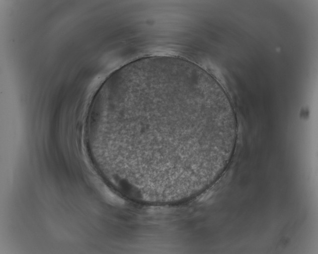 X0000092030145200709271616