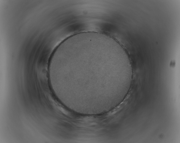 X0000092030146200709271616