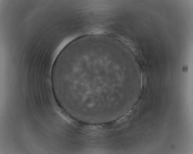 X0000092030147200709271616