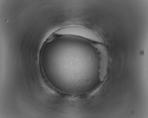 X0000092030148200709271616