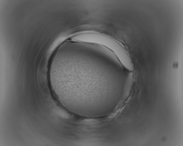 X0000092030150200709271616