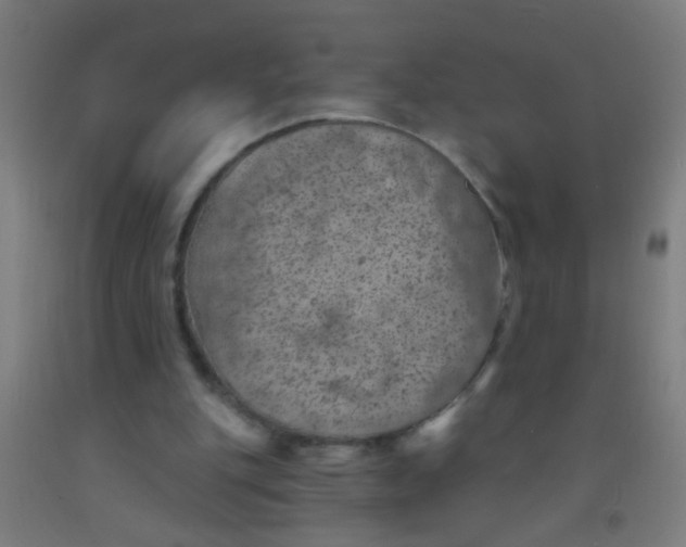 X0000092030151200709271616