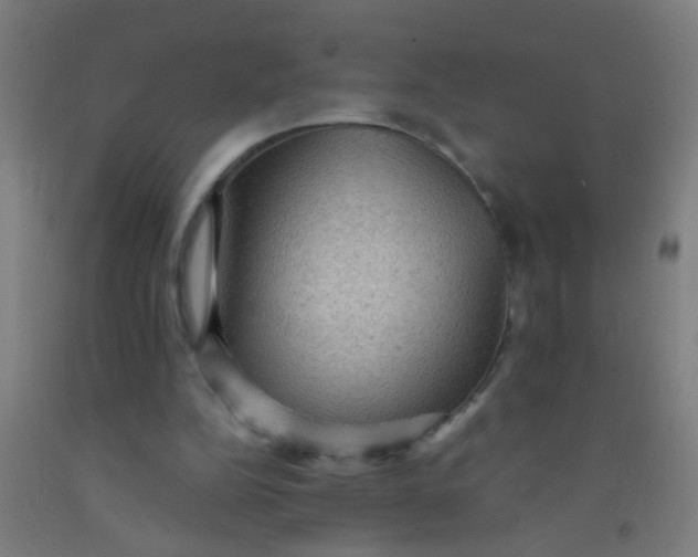 X0000092030152200709271616