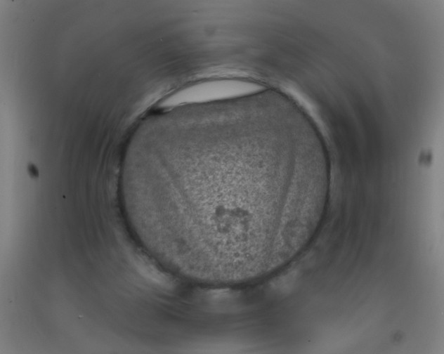 X0000092030153200709271616