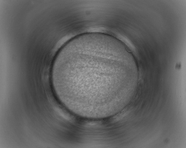 X0000092030155200709271616