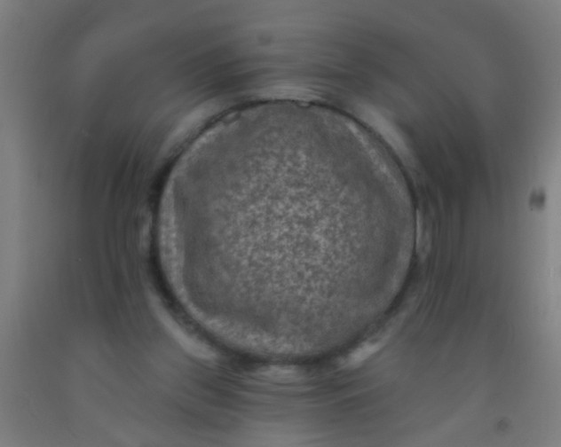 X0000092030157200709271616