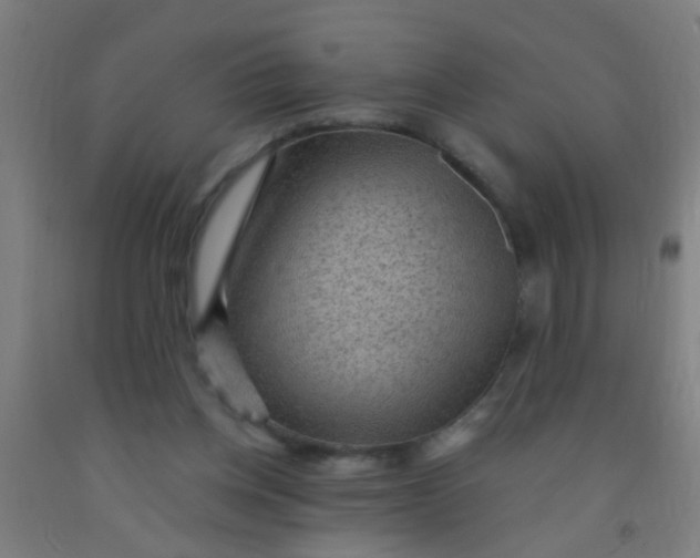 X0000092030158200709271616