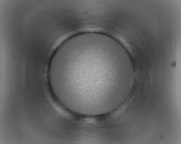 X0000092030159200709271616