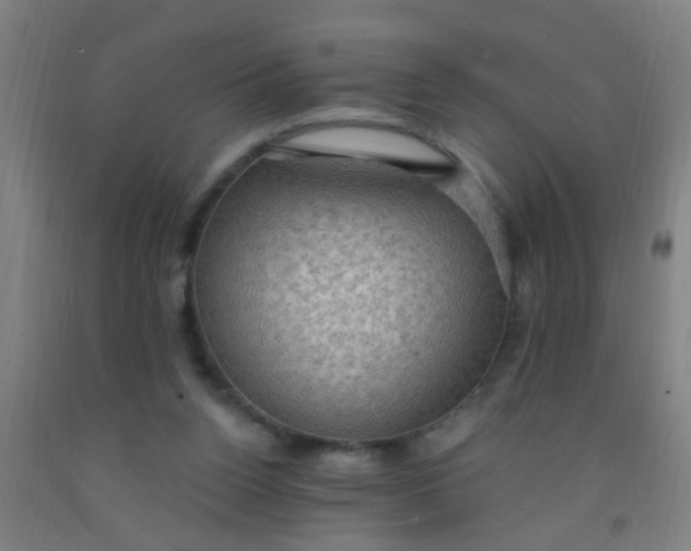 X0000092030160200709271616