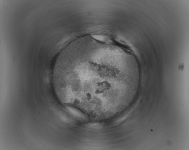 X0000092030161200709271616