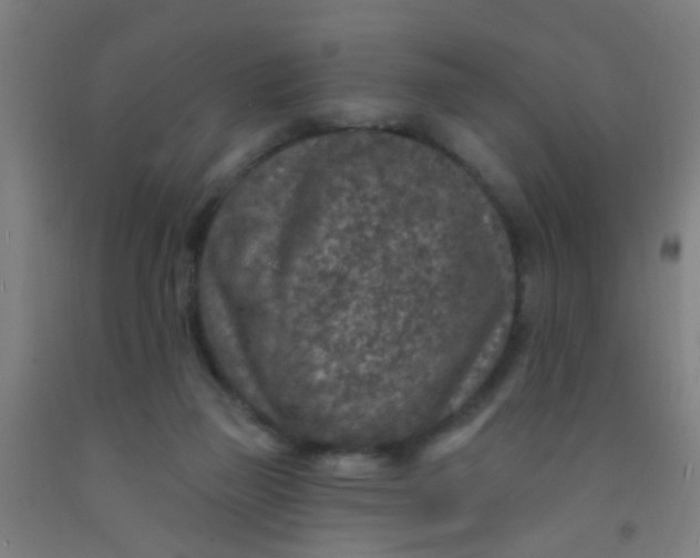 X0000092030165200709271616