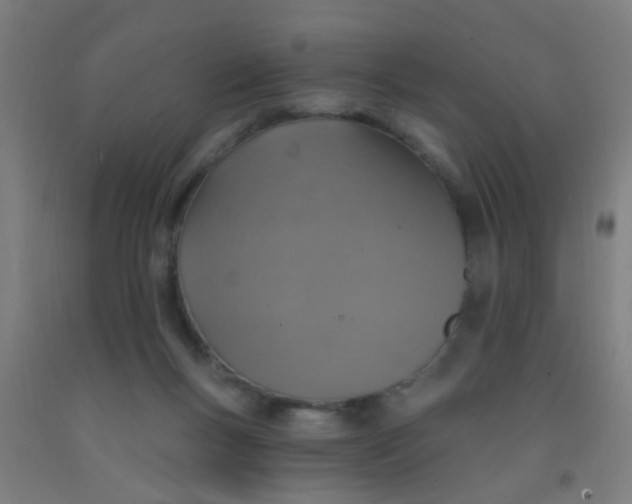 X0000092030167200709271616