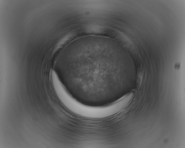 X0000092030168200709271616