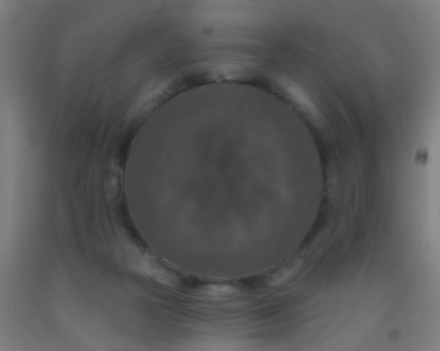 X0000092030169200709271616