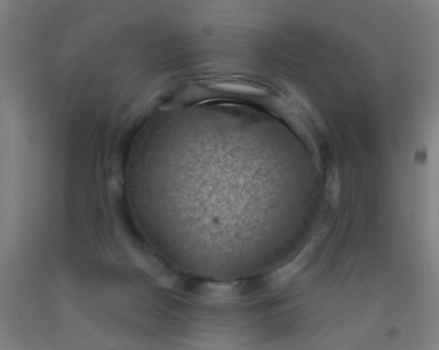 X0000092030170200709271616