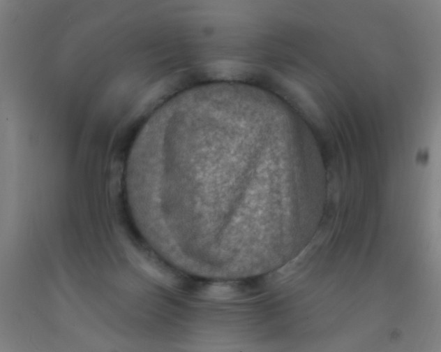 X0000092030171200709271616