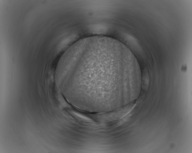 X0000092030172200709271616