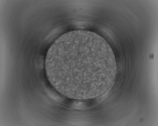 X0000092030174200709271616