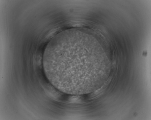 X0000092030175200709271616