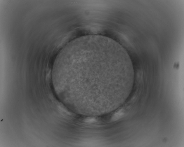 X0000092030177200709271616