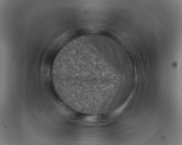 X0000092030178200709271616