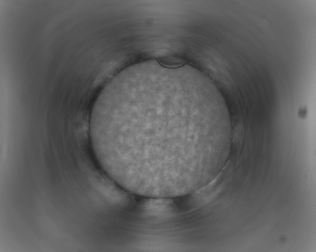 X0000092030179200709271616