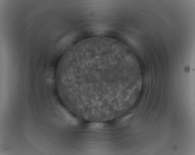 X0000092030181200709271616