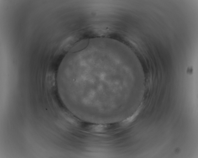 X0000092030182200709271616