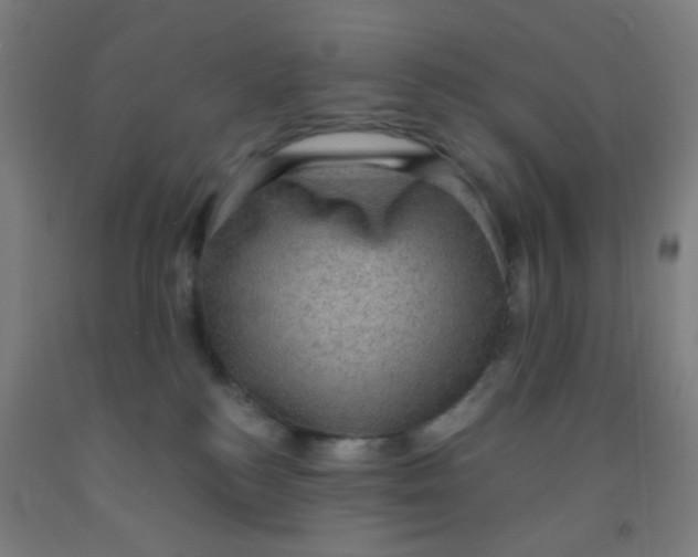 X0000092030184200709271616