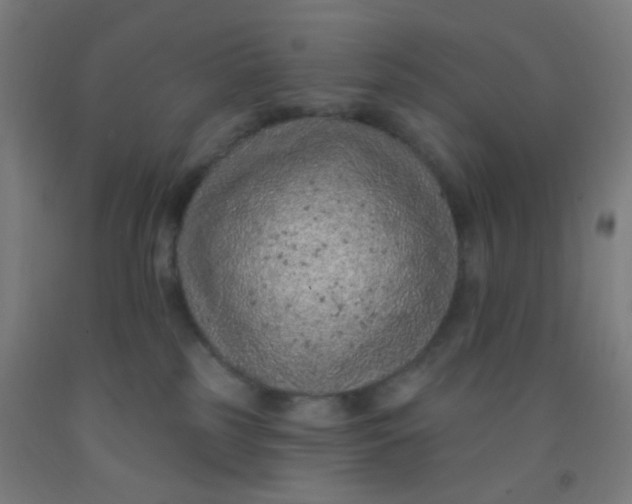 X0000092030185200709271616