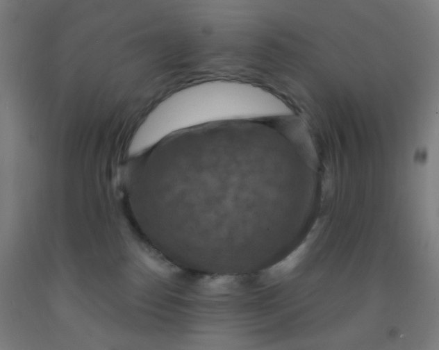 X0000092030186200709271616