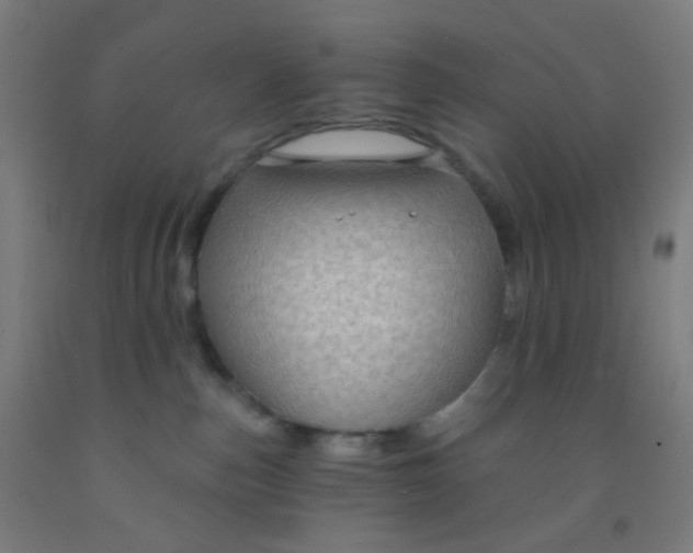 X0000092030187200709271616