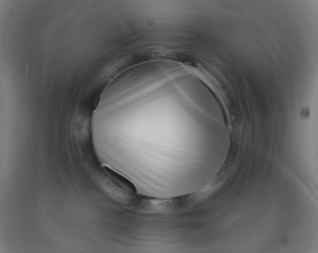 X0000092030188200709271616