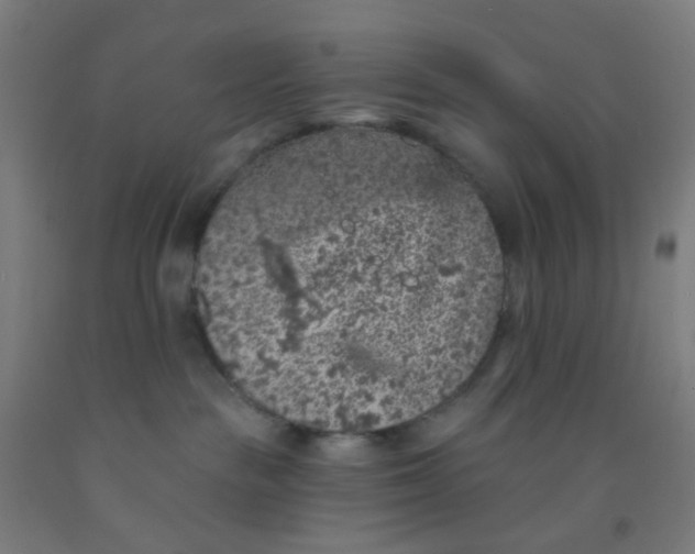 X0000092030189200709271616