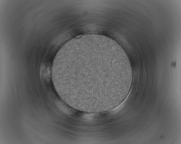 X0000092030190200709271616