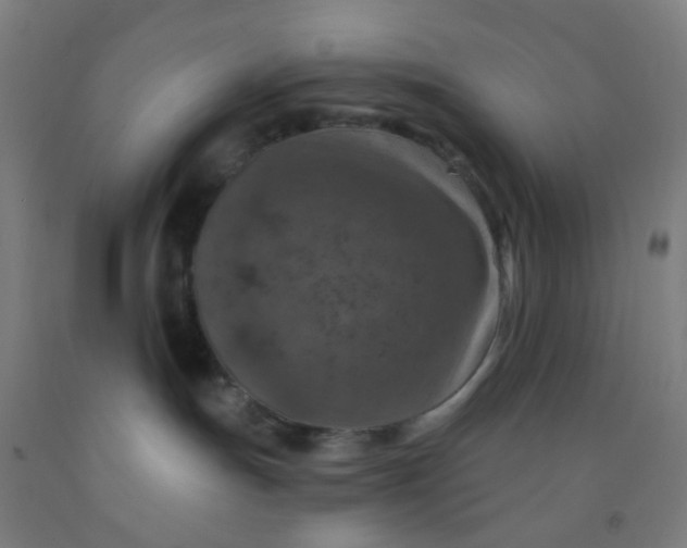 X0000092030191200709271616