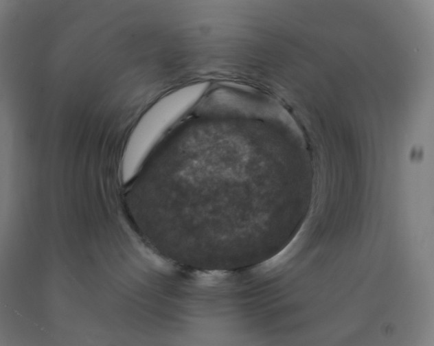 X0000092030192200709271616