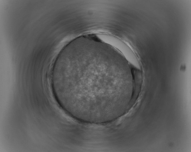 X0000092030193200709271616