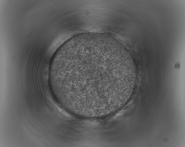 X0000092030194200709271616