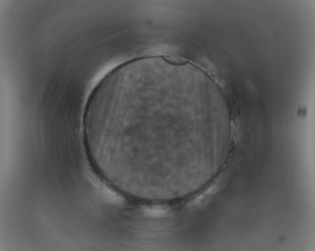 X0000092030196200709271616