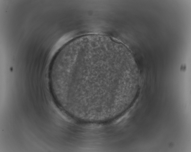 X0000092030198200709271616