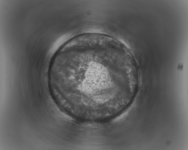 X0000092030199200709271616