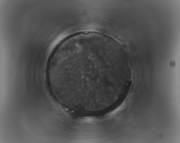 X0000092030200200709271616